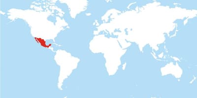Hartë e Meksikës globale